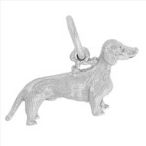 Silver Charms/Pendant