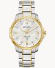 Watches  -  Dre