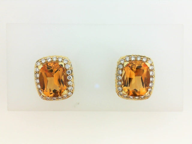 Colored Stone Earring