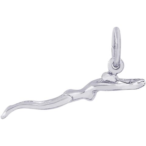 Silver Charms/Pendant