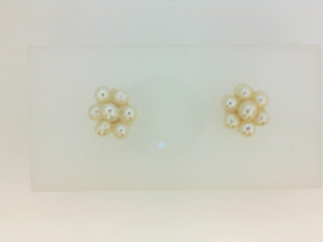Pearl Earring