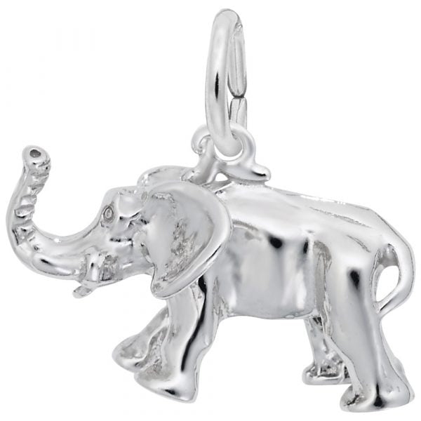 Silver Charms/Pendant