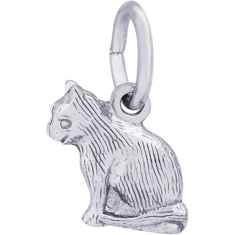 Silver Charms/Pendant
