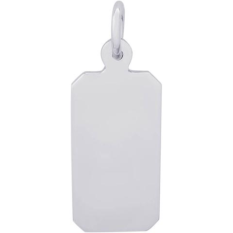Silver Charms/Pendant