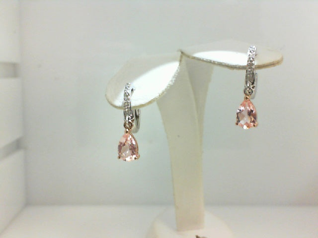 Colored Stone Earring