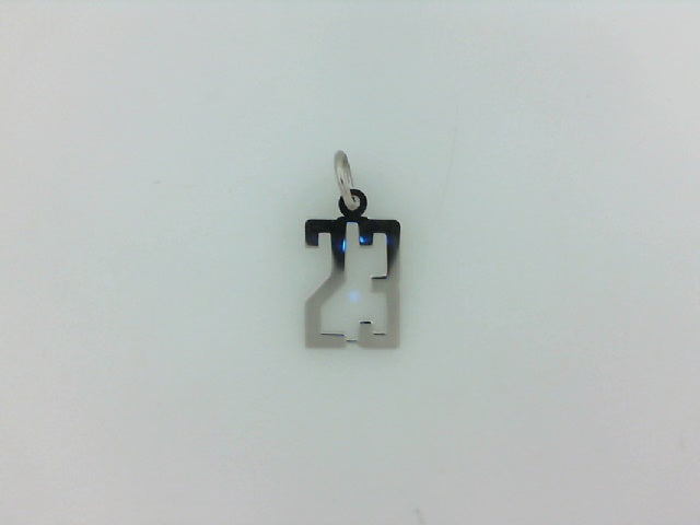 Silver Charms/Pendant