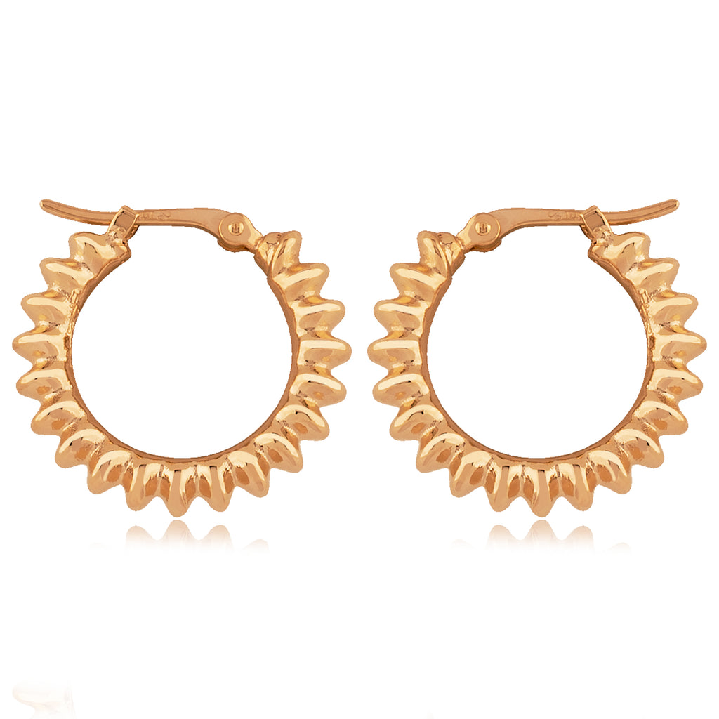 Precious Metal (No Stones) Earring