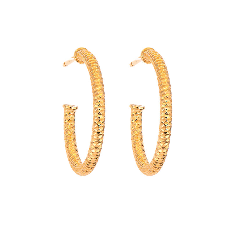 Silver Earring
