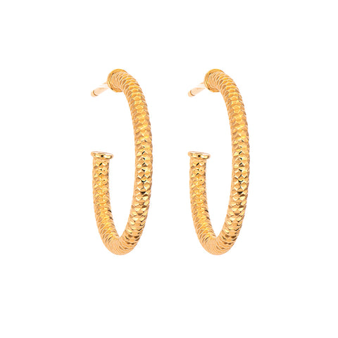 Silver Earring