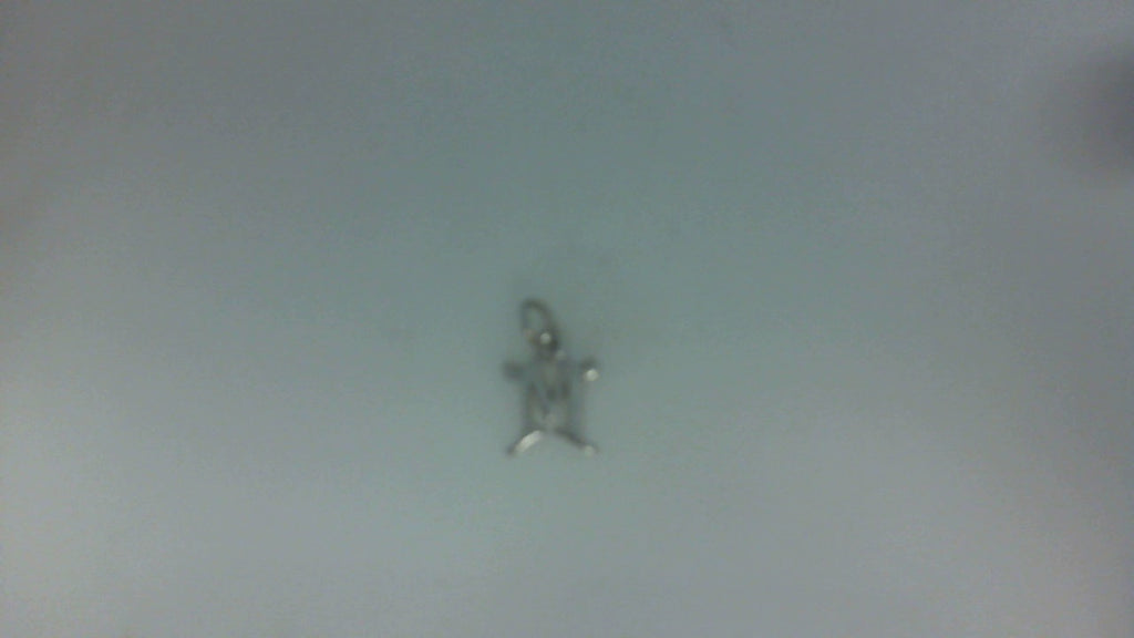 Silver Charms/Pendant