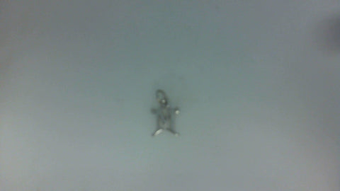 Silver Charms/Pendant