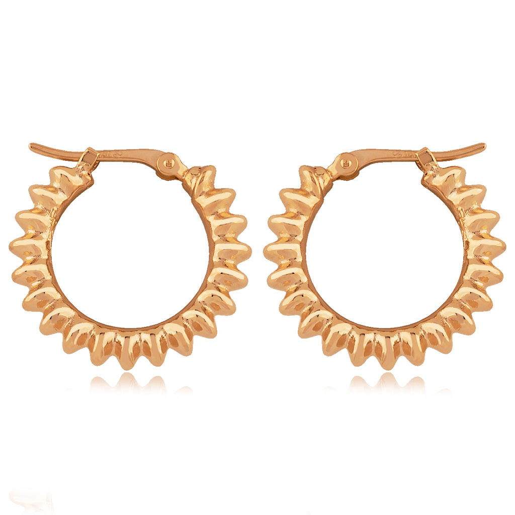 Precious Metal (No Stones) Earring