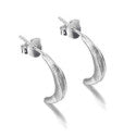 Silver Earring