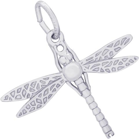 Silver Charms/Pendant