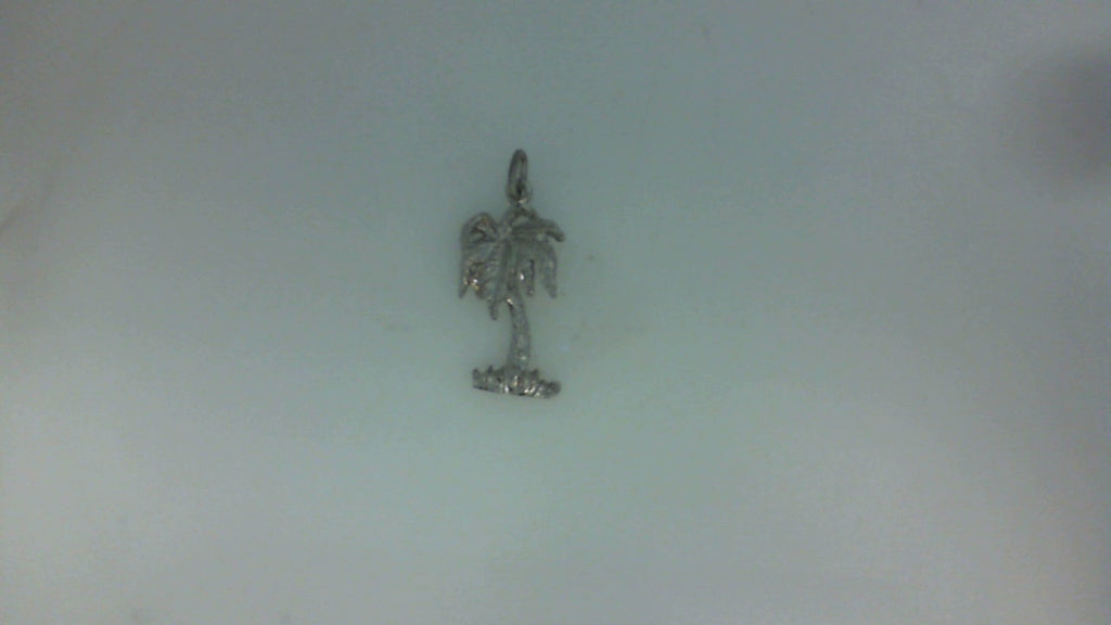 Silver Charms/Pendant